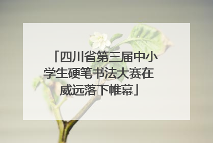 四川省第三届中小学生硬笔书法大赛在威远落下帷幕
