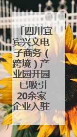 四川宜宾兴文电子商务（跨境）产业园开园 已吸引20余家企业入驻