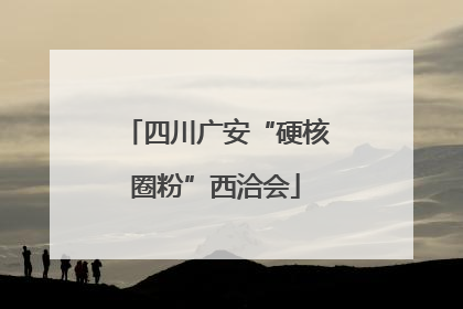 四川广安“硬核圈粉”西洽会