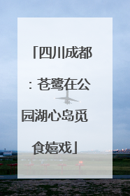 四川成都：苍鹭在公园湖心岛觅食嬉戏