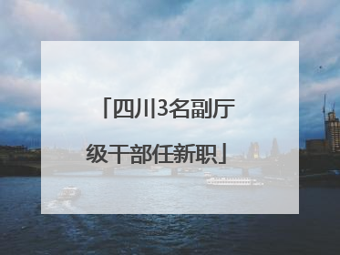四川3名副厅级干部任新职