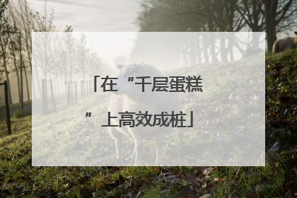 在“千层蛋糕”上高效成桩