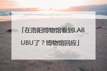 在洛阳博物馆看到LABUBU了？博物馆回应