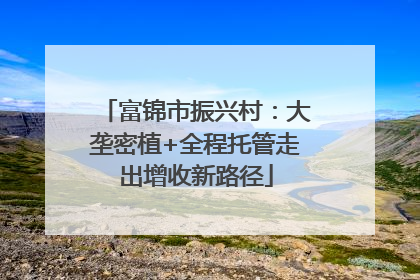 富锦市振兴村：大垄密植+全程托管走出增收新路径