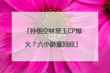 孙悟空林黛玉CP爆火？六小龄童回应
