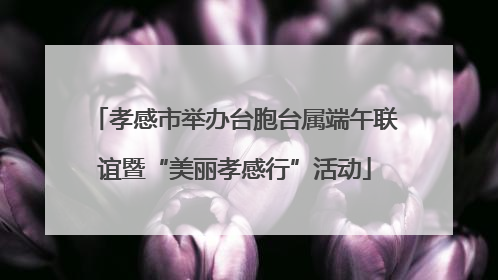 孝感市举办台胞台属端午联谊暨“美丽孝感行”活动