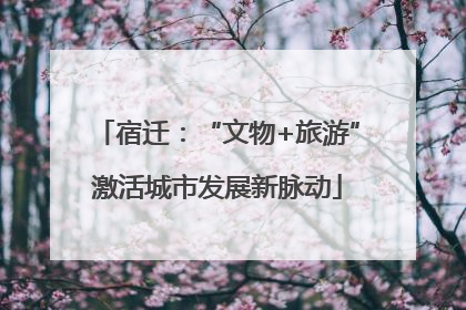 宿迁：“文物+旅游”激活城市发展新脉动
