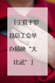 宁夏平罗县总工会举办插秧“大比武”