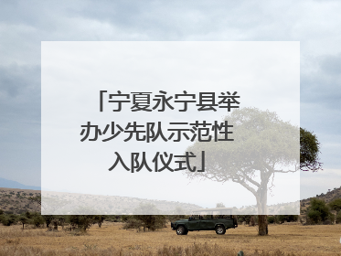 宁夏永宁县举办少先队示范性入队仪式