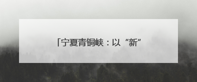 宁夏青铜峡：以“新”破题 向“绿”而行