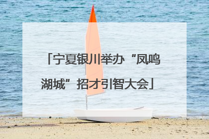 宁夏银川举办“凤鸣湖城”招才引智大会