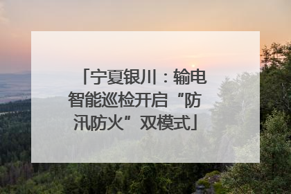 宁夏银川：输电智能巡检开启“防汛防火”双模式