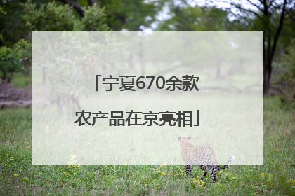 宁夏670余款农产品在京亮相