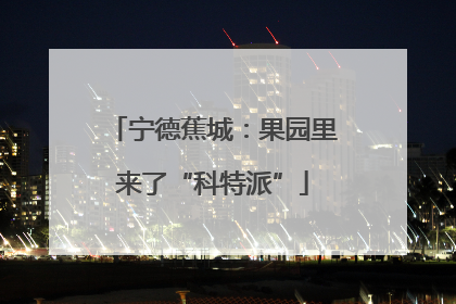 宁德蕉城：果园里来了“科特派”
