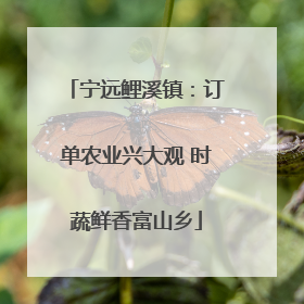 宁远鲤溪镇：订单农业兴大观 时蔬鲜香富山乡