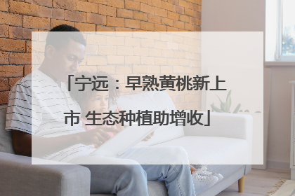 宁远：早熟黄桃新上市 生态种植助增收