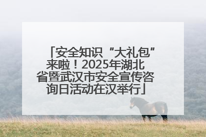 安全知识“大礼包”来啦！2025年湖北省暨武汉市安全宣传咨询日活动在汉举行