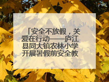 安全不放假，关爱在行动——庐江县同大镇农林小学开展暑假前安全教育大家访