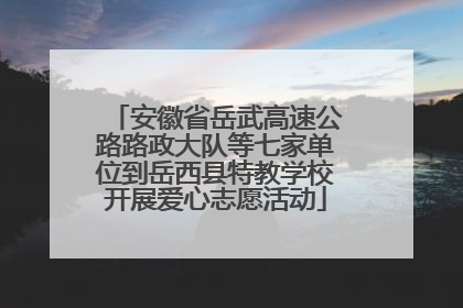 安徽省岳武高速公路路政大队等七家单位到岳西县特教学校开展爱心志愿活动