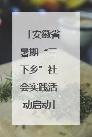 安徽省暑期“三下乡”社会实践活动启动