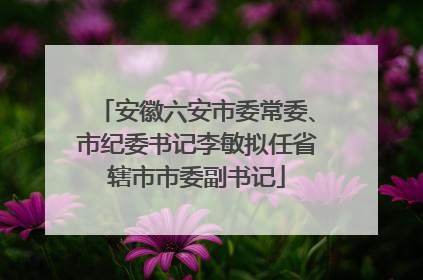 安徽六安市委常委、市纪委书记李敏拟任省辖市市委副书记