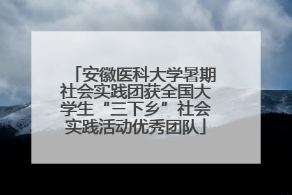 安徽医科大学暑期社会实践团获全国大学生“三下乡”社会实践活动优秀团队