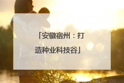 安徽宿州：打造种业科技谷