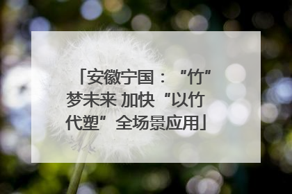 安徽宁国：“竹”梦未来 加快“以竹代塑”全场景应用