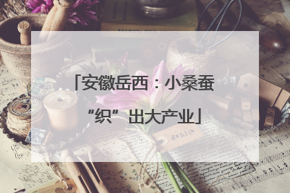 安徽岳西：小桑蚕“织”出大产业