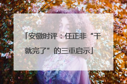 安徽时评：任正非“干就完了”的三重启示