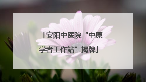 安阳中医院“中原学者工作站”揭牌
