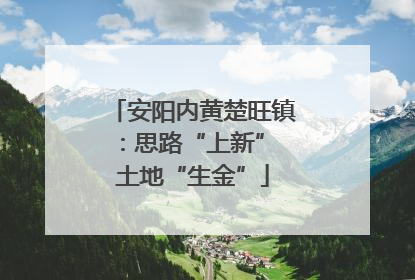 安阳内黄楚旺镇：思路“上新” 土地“生金”