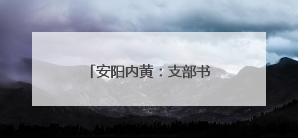 安阳内黄：支部书记外出“取经”探寻乡村振兴新路径