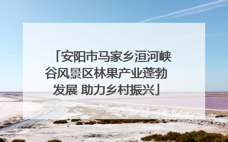 安阳市马家乡洹河峡谷风景区林果产业蓬勃发展 助力乡村振兴