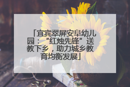 宜宾翠屏安阜幼儿园：“红烛先锋”送教下乡，助力城乡教育均衡发展