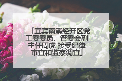 宜宾南溪经开区党工委委员、管委会副主任周虎 接受纪律审查和监察调查