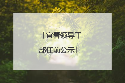 宜春领导干部任前公示