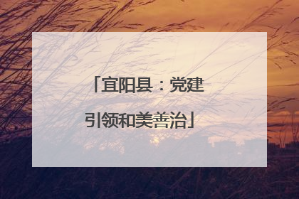 宜阳县：党建引领和美善治
