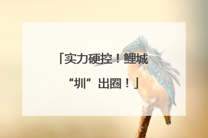 实力硬控！鲤城“圳”出圈！