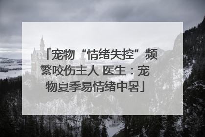 宠物“情绪失控”频繁咬伤主人 医生：宠物夏季易情绪中暑