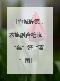 宣城旌德：农旅融合绘就“莓”好“蓝”图