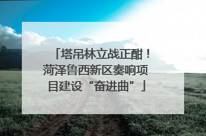 塔吊林立战正酣！菏泽鲁西新区奏响项目建设“奋进曲”