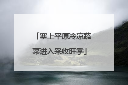 塞上平原冷凉蔬菜进入采收旺季