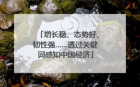 增长稳、态势好、韧性强……透过关键词感知中国经济