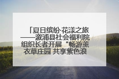 夏日缤纷·花漾之旅——溆浦县社会福利院组织长者开展“畅游薰衣草庄园 共享紫色浪漫”户外活动