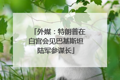 外媒：特朗普在白宫会见巴基斯坦陆军参谋长