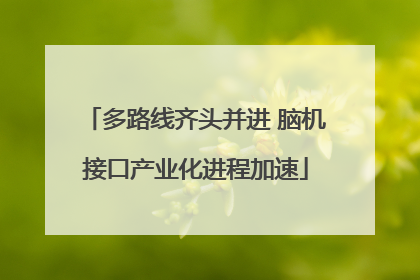 多路线齐头并进 脑机接口产业化进程加速