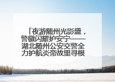 夜游随州光影盛，警徽闪耀护安宁——湖北随州公安交警全力护航炎帝故里寻根节夜游活动侧记