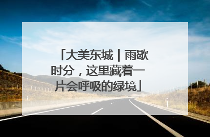 大美东城｜雨歇时分，这里藏着一片会呼吸的绿境