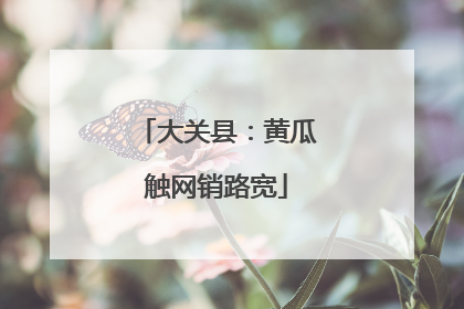 大关县：黄瓜触网销路宽